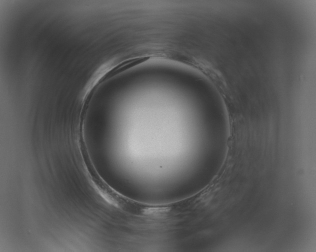 X0000053070051200507111229