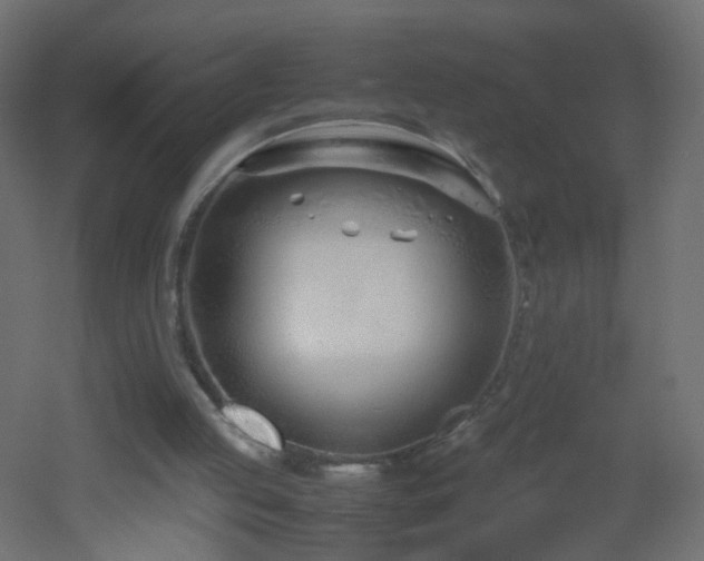 X0000053070053200507111229