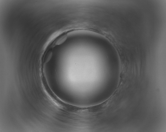 X0000053070054200507111229