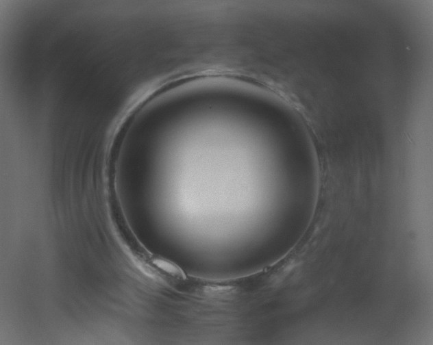 X0000053070055200507111229