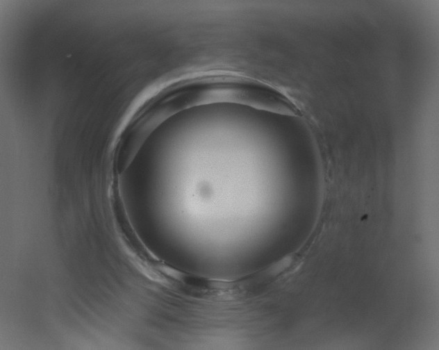 X0000053070056200507111229