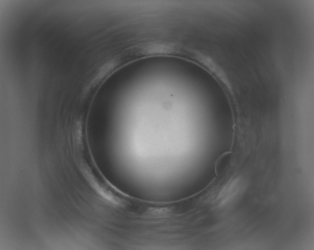 X0000053070057200507111229