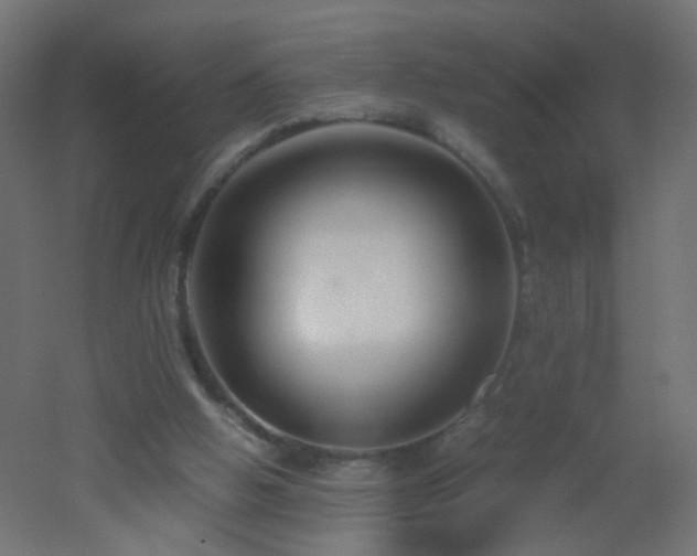 X0000053070058200507111229