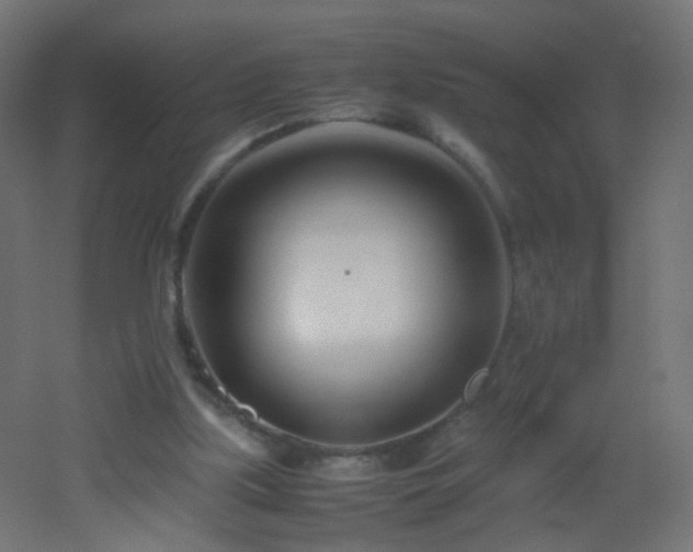 X0000053070059200507111229