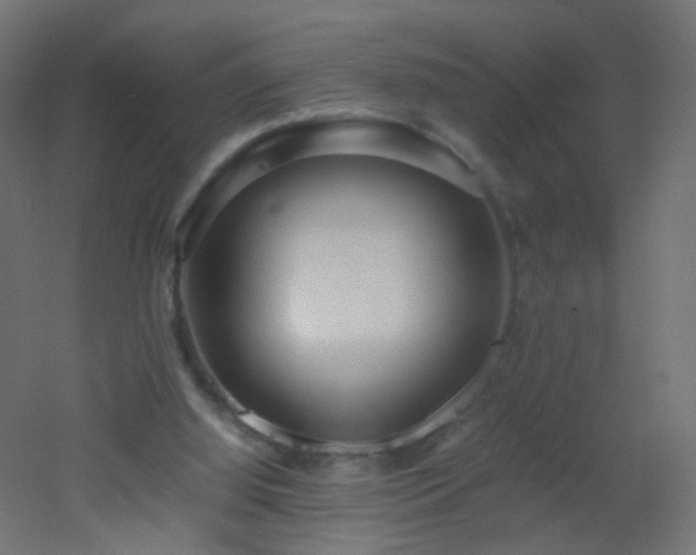 X0000053070060200507111229