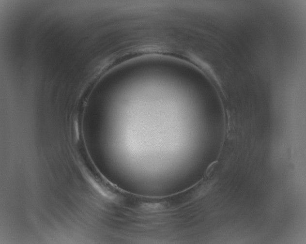 X0000053070061200507111229