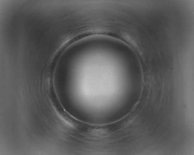 X0000053070063200507111229