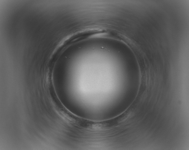 X0000053070064200507111229