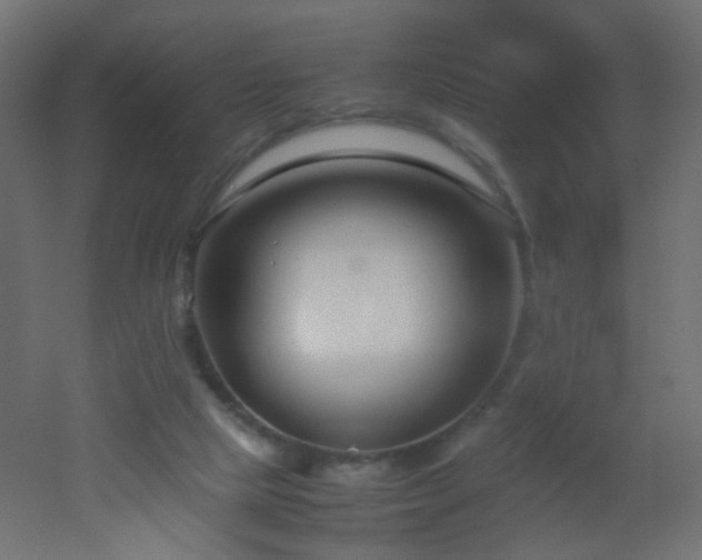 X0000053070065200507111229