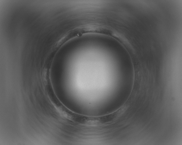 X0000053070066200507111229