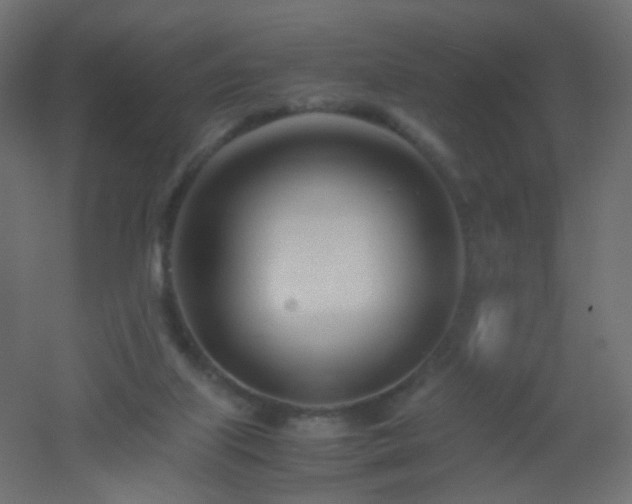 X0000053070067200507111229