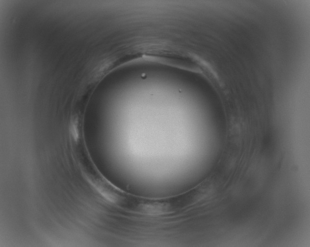 X0000053070069200507111229