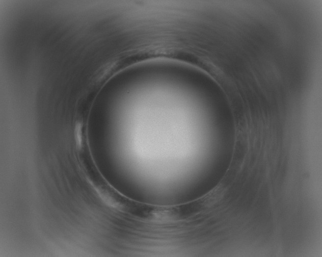 X0000053070070200507111229