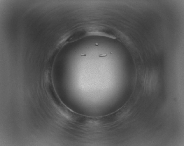 X0000053070071200507111229