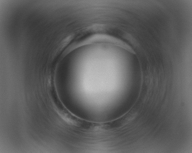 X0000053070072200507111229