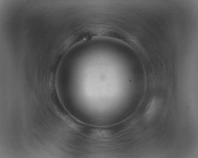 X0000053070073200507111229