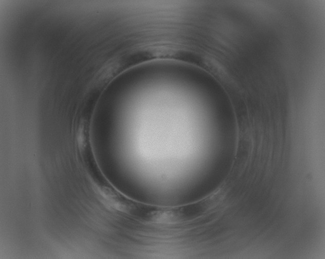 X0000053070074200507111229