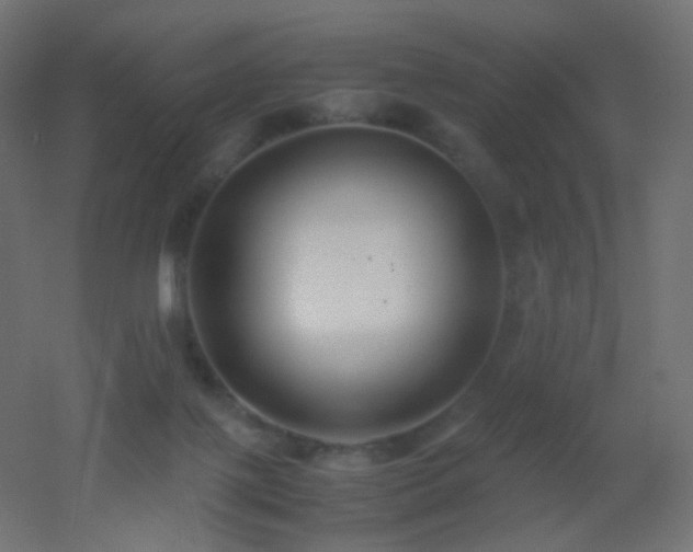 X0000053070075200507111229