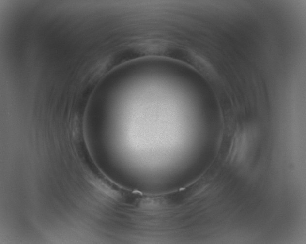 X0000053070077200507111229