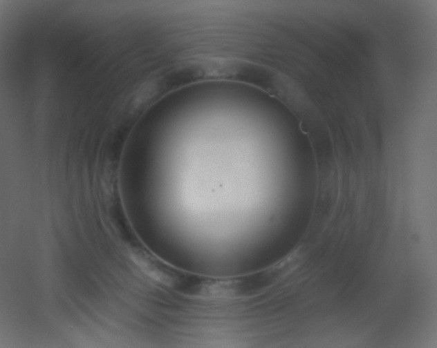 X0000053070078200507111229