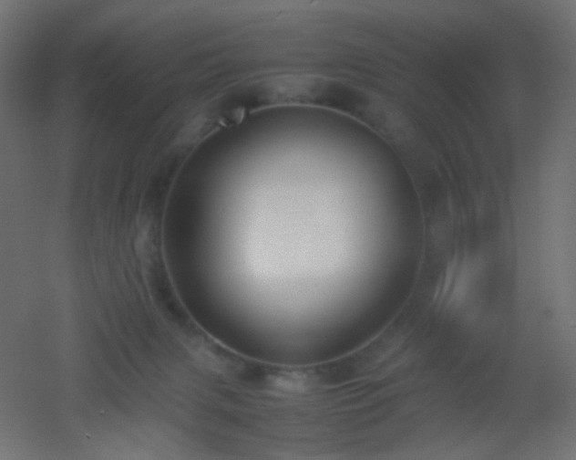 X0000053070079200507111229