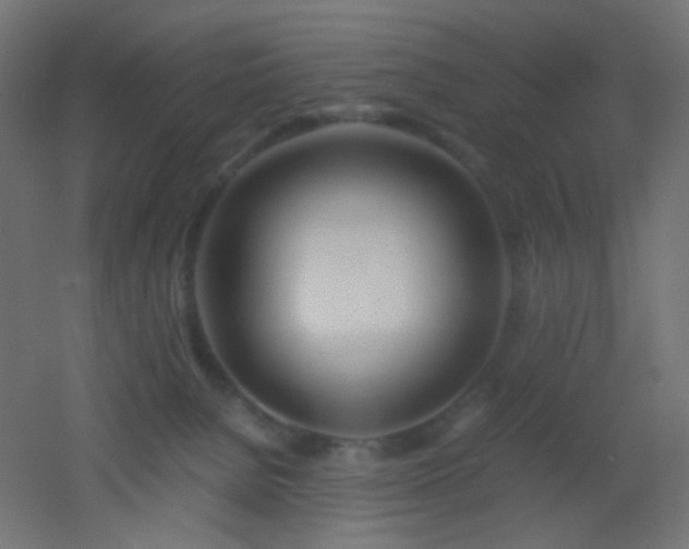 X0000053070080200507111229