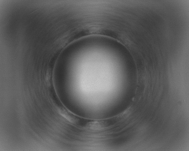 X0000053070082200507111229