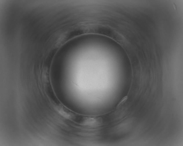 X0000053070083200507111229