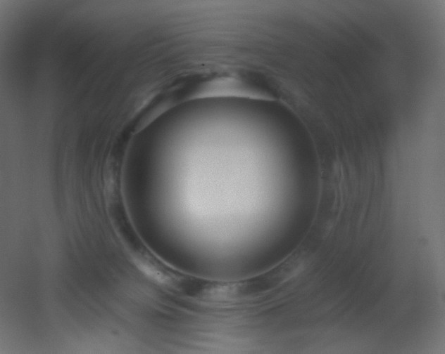 X0000053070084200507111229