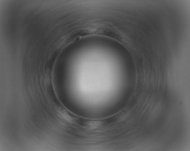 X0000053070085200507111229