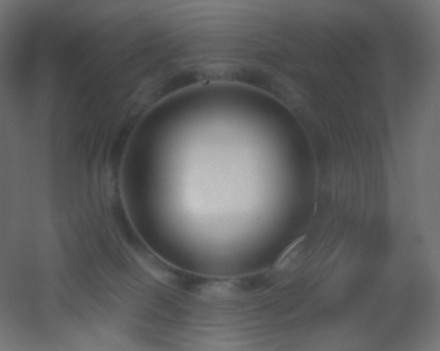 X0000053070086200507111229