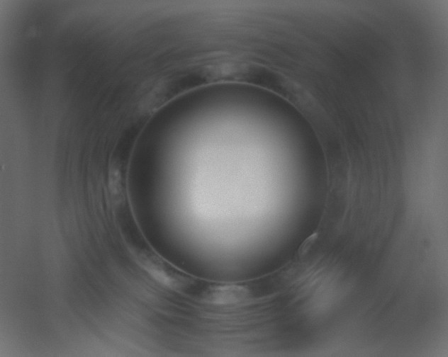 X0000053070087200507111229