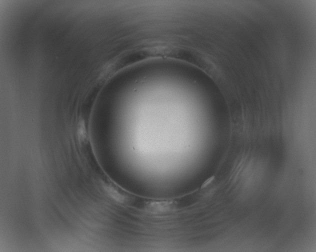 X0000053070089200507111229