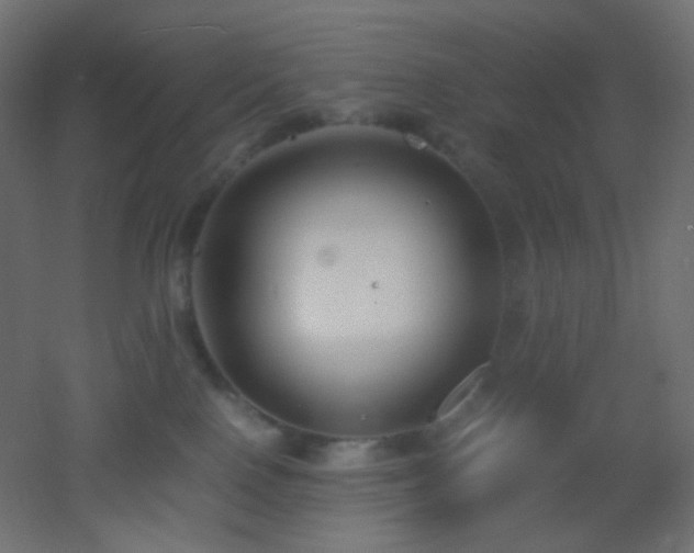 X0000053070090200507111229