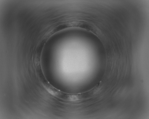 X0000053070091200507111229