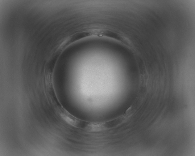 X0000053070093200507111229