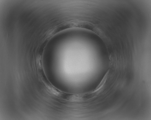 X0000053070094200507111230