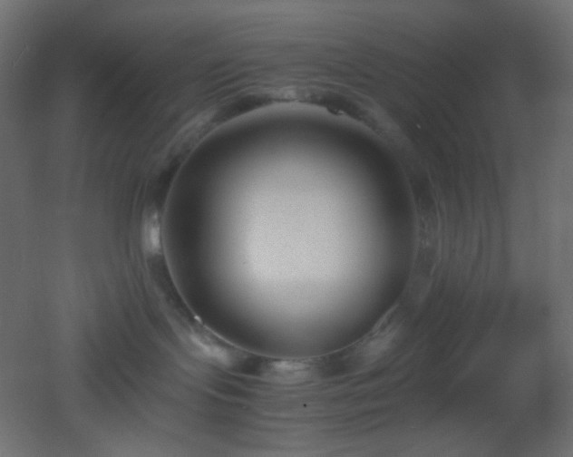 X0000053070095200507111230