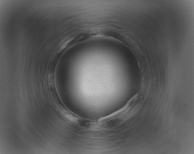 X0000053070096200507111230