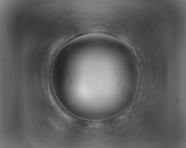 X0000053070097200507111229