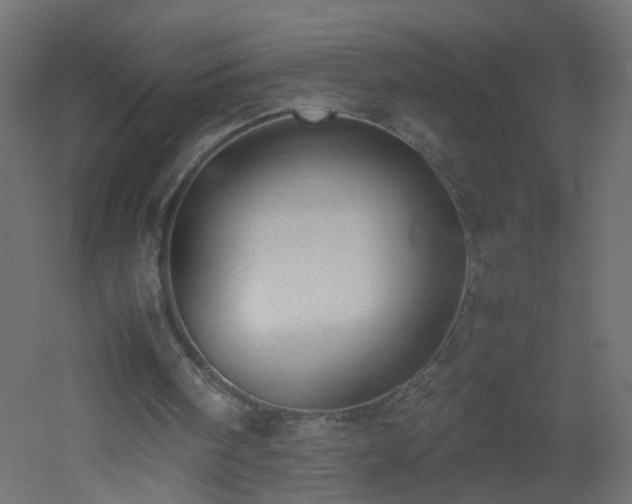 X0000053070098200507111229