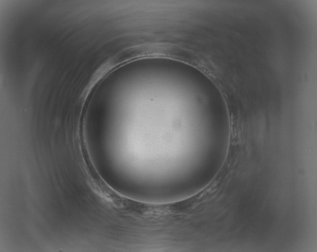 X0000053070099200507111229