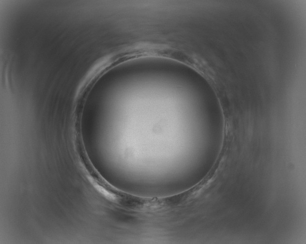 X0000053070101200507111229