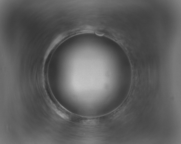 X0000053070102200507111229