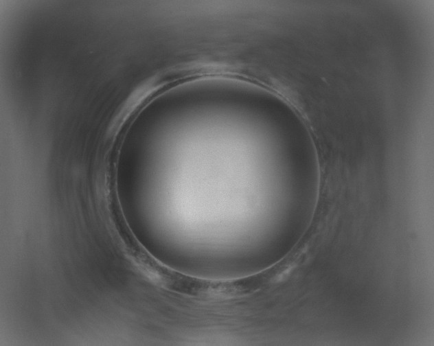 X0000053070103200507111229