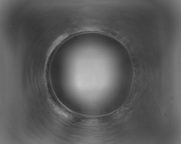 X0000053070104200507111229