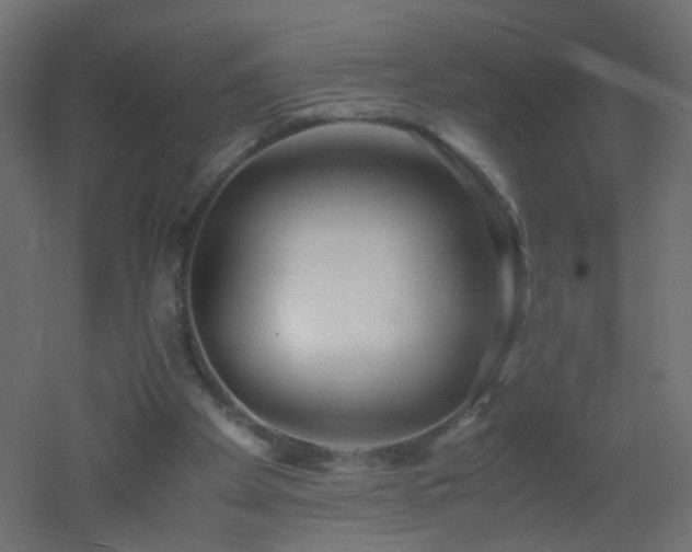 X0000053070105200507111229