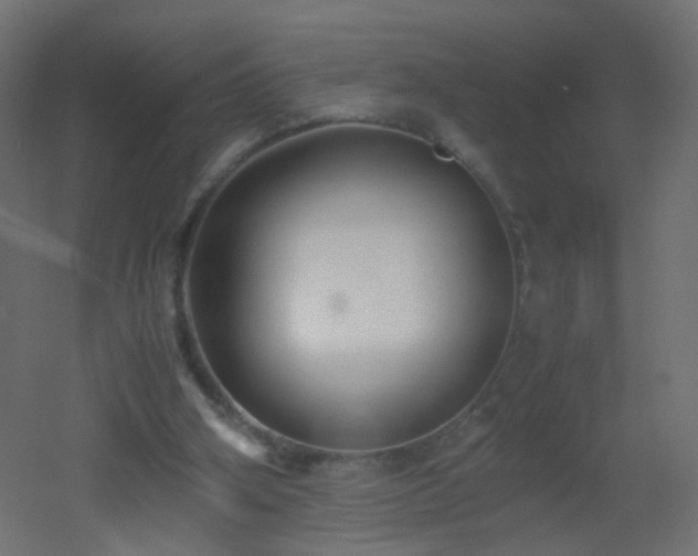 X0000053070106200507111229