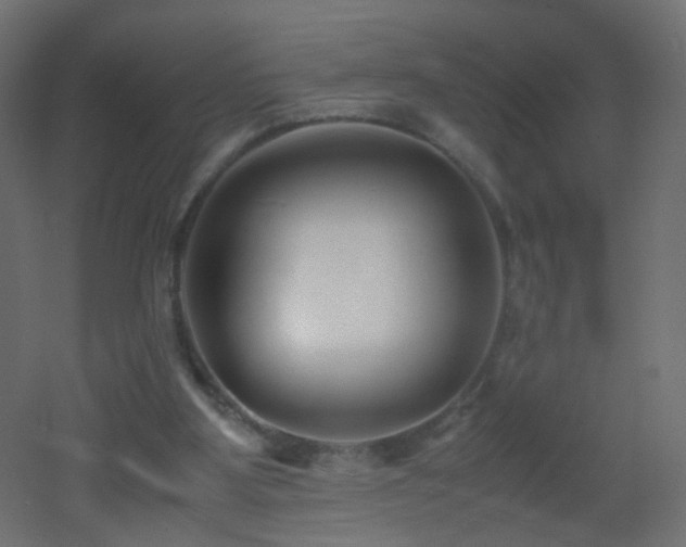 X0000053070107200507111229