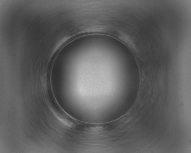 X0000053070108200507111229